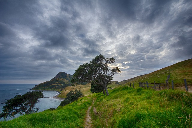 trail running